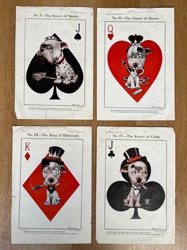 Set e studdy bulldog - set, x4