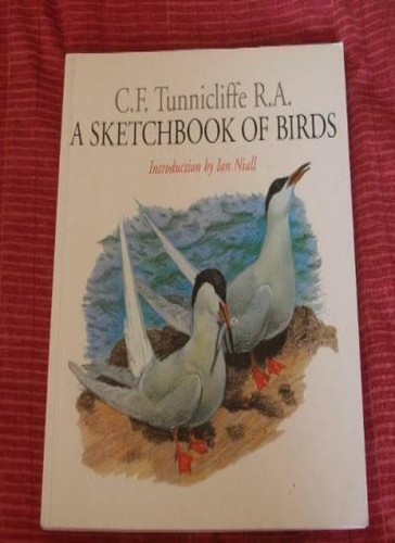Sketchbook birds c - of, birds-c.f