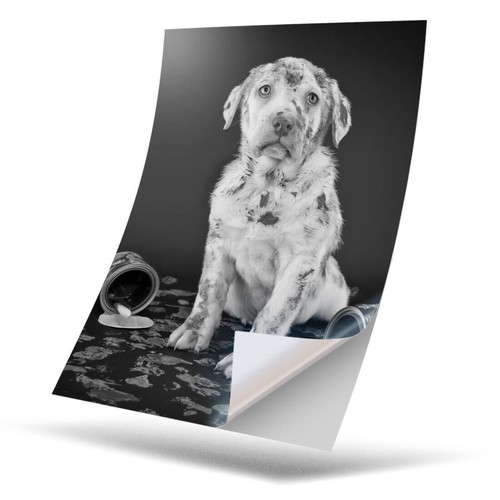 Vinyl sticker bw - 1,