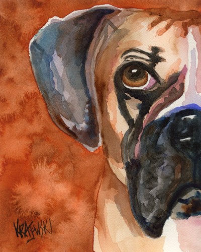 Boxer high resolution print - print, of