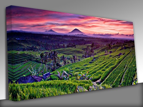 Ubud bali indonesia panoramic - ubud, bali,