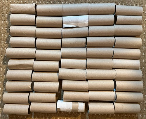 Empty toilet loo roll - x,