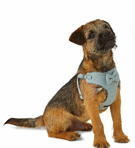 Wainwright herringborne blue - herringborne,