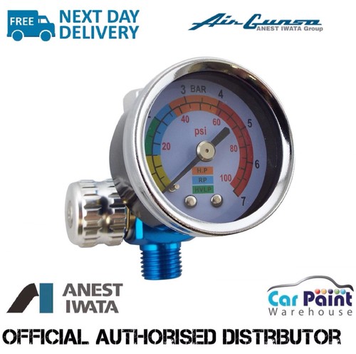 Air gunsa anest iwata spray - anest,
