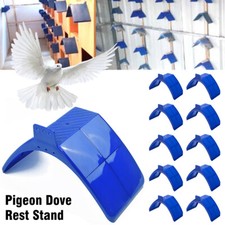 10pcs birds dove pigeon - 10pcs, rest
