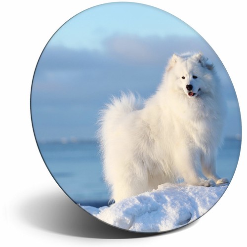 Awesome fridge magnet - magnet,