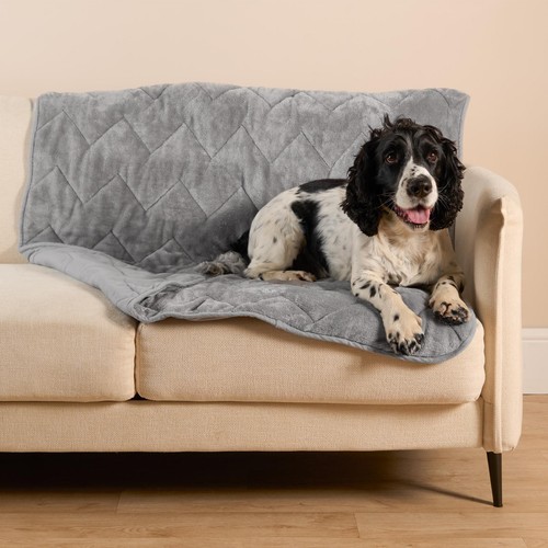 Pet blanket throw - throw, over