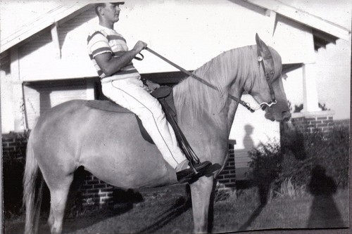 Vintage photograph men - men's, horse