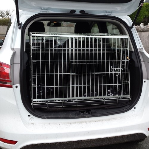 Pet world ford - pet,