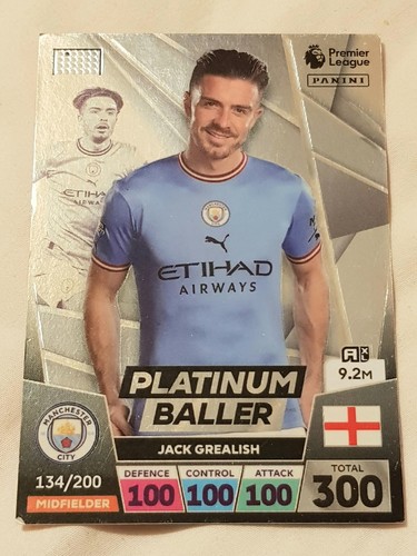 Panini adrenalyn premier - panini,