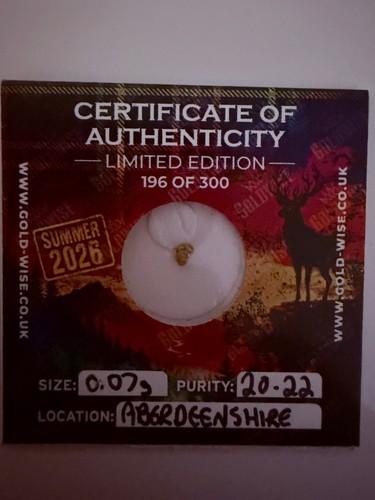 Scottish gold nugget - gold, 0.07