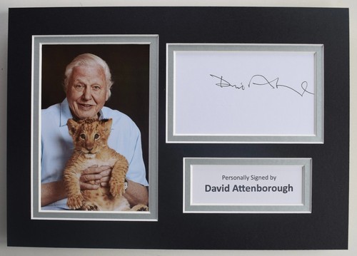 David attenborough signed - david,