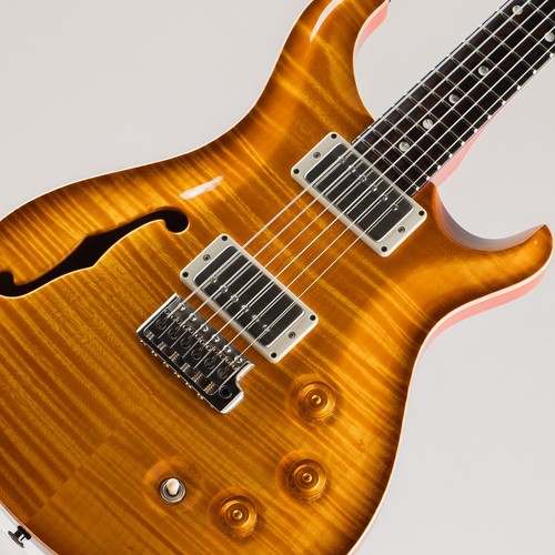 Paul reed smith dgt - paul,