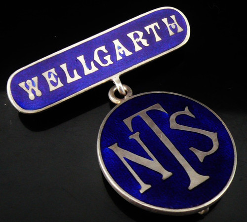 Scarce sterling silver nursing - scarce,