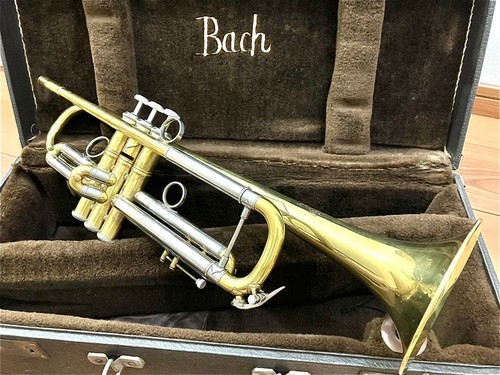 Bach 180ml custom trumpet - 37,