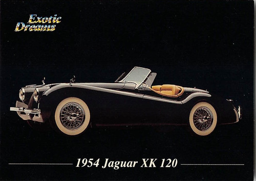 1992 all sports exotic - all,