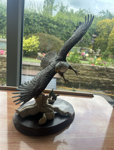 Eagle bird ornament - eagle,