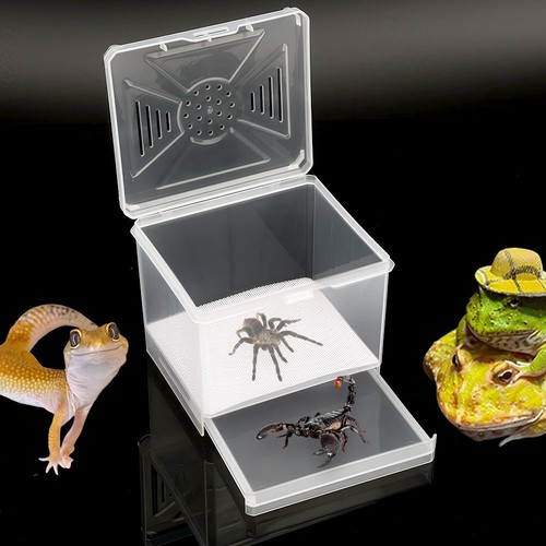 Spider cage mantis feeding box - cage,