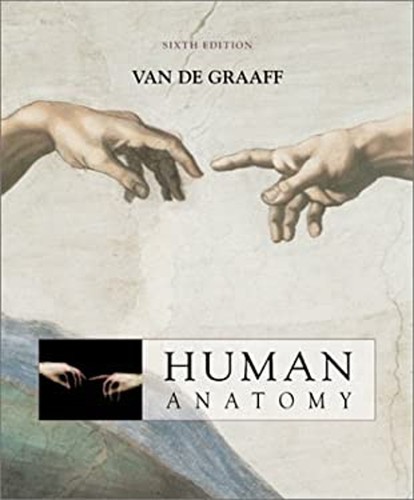 Human anatomy hardcover kent - anatomy,