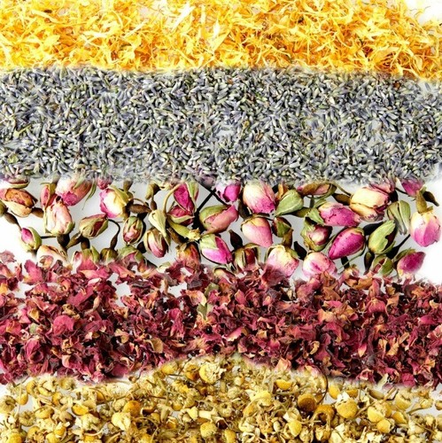 Dried petals - dried,