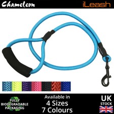 Pet lead leash - lead,