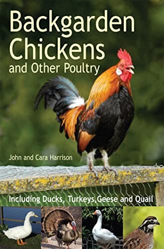 Backgarden chickens and other - and,