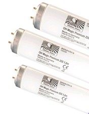 Sunbed tanning lamps - tanning, magic