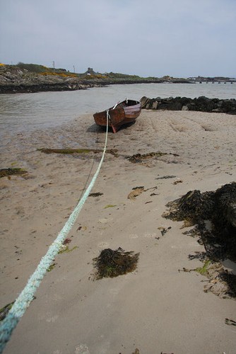 Photo 6x4 port - 6x4,