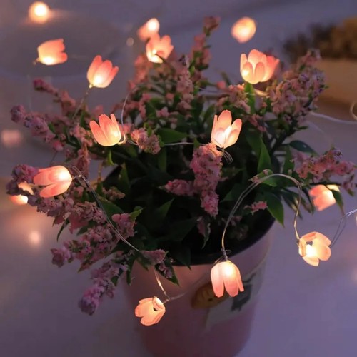 Led tulip fairy string - 20,
