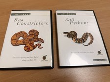 All About Ball Pythons  And