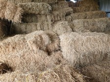 Excellent quality meadow hay