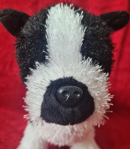 Ganz webkinz boston - ganz,