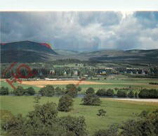 Picture Postcard-:Newtonmore