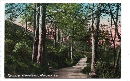 Rossie gardens montrose - rossie, gardens,
