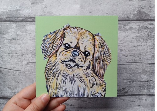 Tibetan spaniel greetings - spaniel,