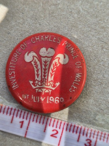 Prince wales investiture - prince, of