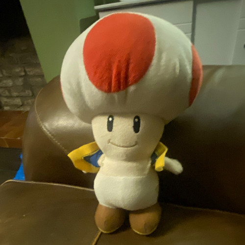 Toad plush doll - toad, super