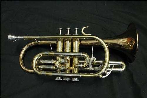 Weril regium cornet - weril,