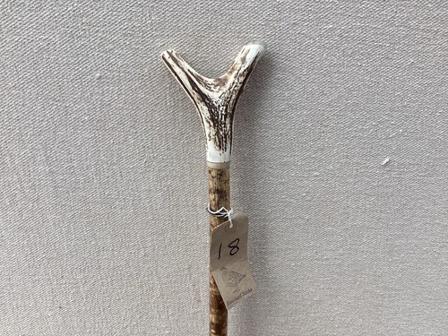 Red deer antler - deer, walking