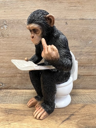 Chimpanzee sitting the - chimpanzee,