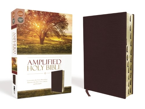 Amplified holy bible - amplified, bonded