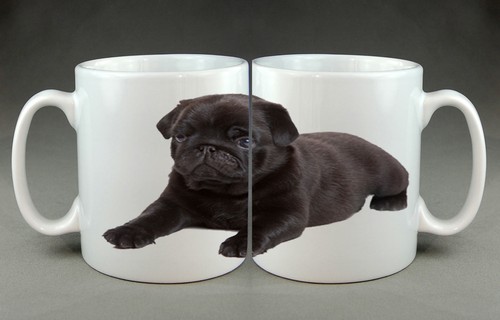 Beautiful black pug mug pet - black,