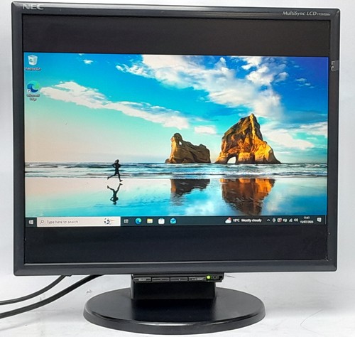 Nec lcd monitor - monitor, 19"