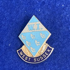 Vintage WEST SUSSEX Women’s Institute (WI) Enamelled Metal Member’s Pin Badge