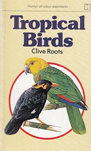 Tropical birds all - tropical, colour