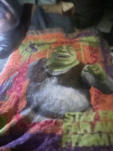 Shrek tapestry throw blanket - shrek,