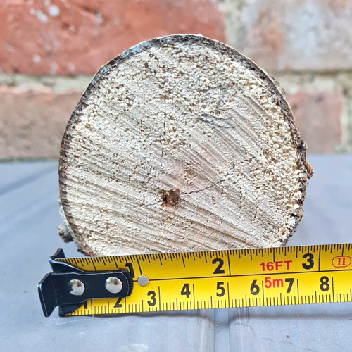 Untreated walnut log - log, bark