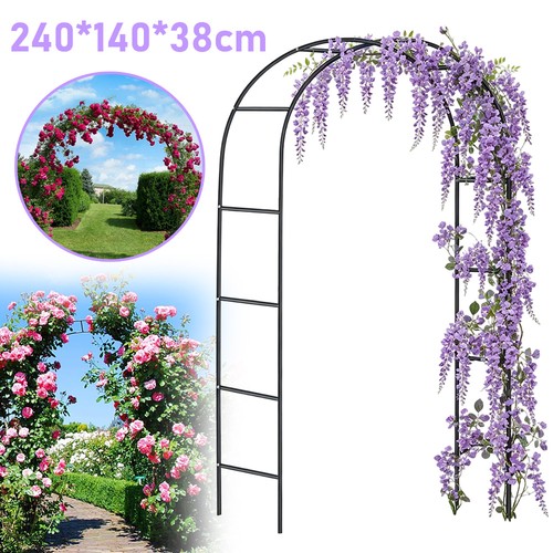 Rose arch climbing plant - rose,