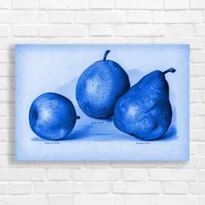 Vintage Fruit Pear Apple and Pear Still Life Blue Canvas Print Large Picture