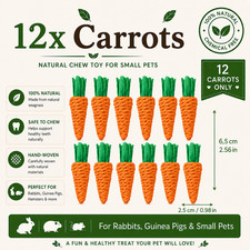 Grass Carrot Toy Rabbit Guinea